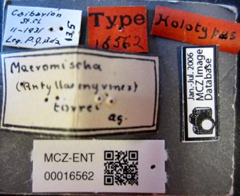 Media type: image;   Entomology 16562 Aspect: labels